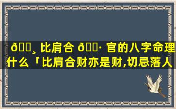 🕸 比肩合 🌷 官的八字命理是什么「比肩合财亦是财,切忌落人有口舌」